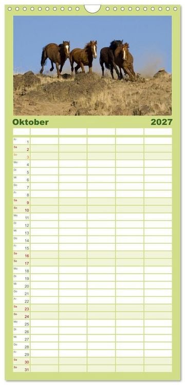 Produktbild: Familienplaner 2027 - Wilde Pferde &bull; Mustangs in USA mit 5 Spalten (Wandkalender, 21 x 45 cm) CALVENDO