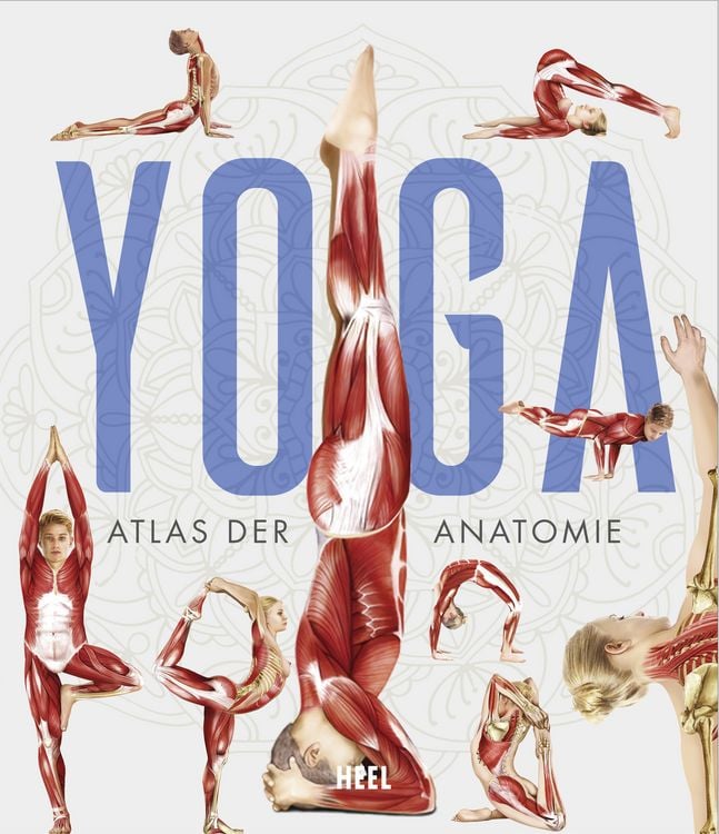 Produktbild: YOGA - Atlas der Anatomie