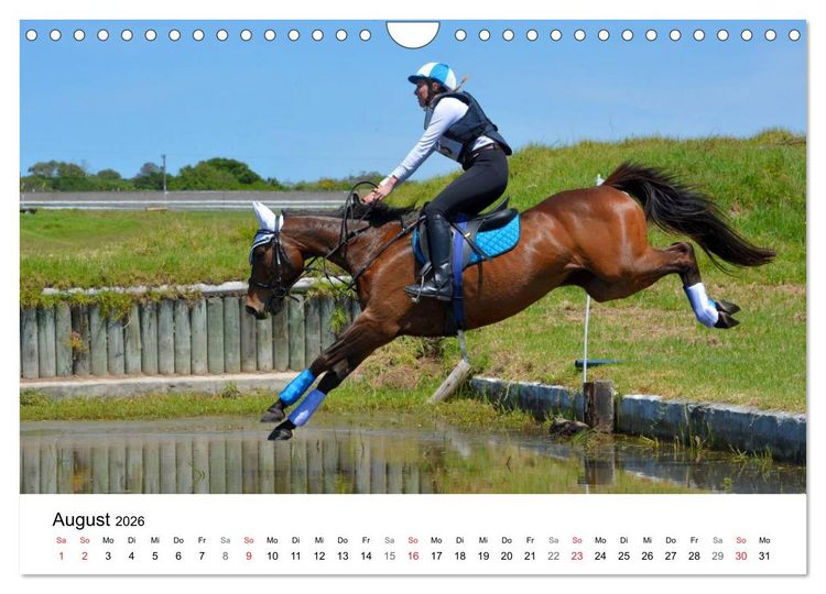 Produktbild: Eventing - Der ultimative Reitsport (Wandkalender 2026 DIN A4 quer), CALVENDO Monatskalender