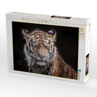 Produktbild: CALVENDO Puzzle Ein junger Tiger nach dem Wasserbad | 1000 Teile Lege-Gr&ouml;&szlig;e 64x48cm Foto-Puzzle f&uuml;r gl&uuml;ckliche Stunden
