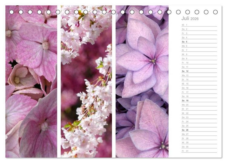Produktbild: Nat&uuml;rlicher Dreiklang (Tischkalender 2026 DIN A5 quer), CALVENDO Monatskalender