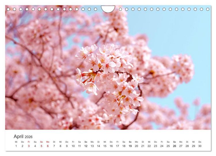 Produktbild: Japan - Land der Kontraste (Wandkalender 2026 DIN A4 quer), CALVENDO Monatskalender
