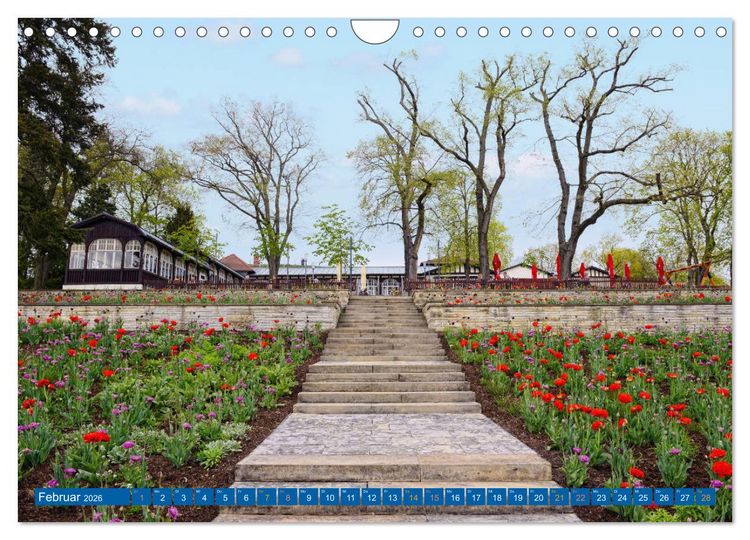 Produktbild: Brandenburg an der Havel - Stadt der Flussarme, Kan&auml;le und Inseln (Wandkalender 2026 DIN A4 quer), CALVENDO Monatskalender