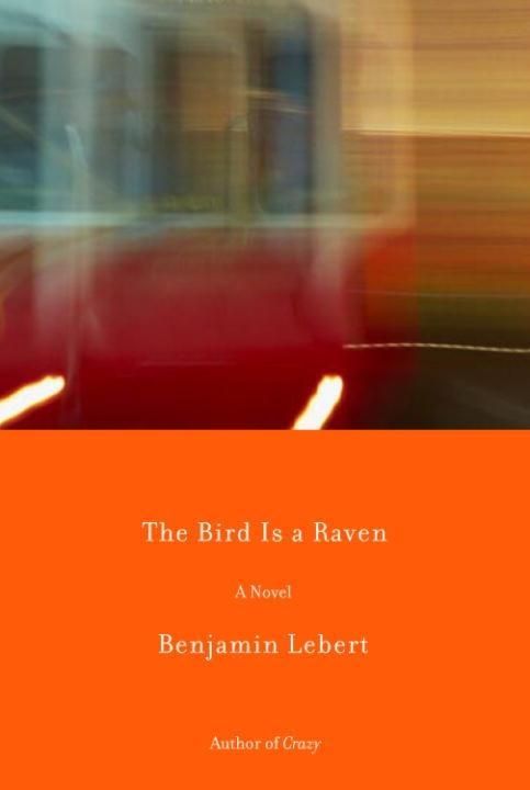 Produktbild: The Bird Is a Raven