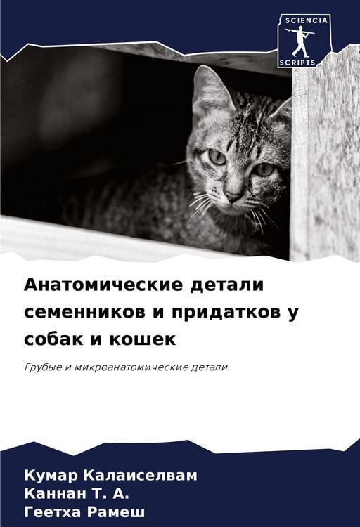 Produktbild: Anatomicheskie detali semennikow i pridatkow u sobak i koshek