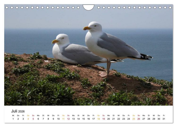 Produktbild: Helgoland Kalender (Wandkalender 2026 DIN A4 quer), CALVENDO Monatskalender