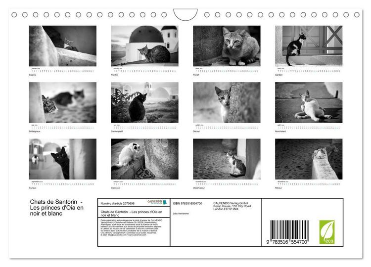 Produktbild: Chats de Santorin - Les princes d'Oia en noir et blanc (Calendrier mural 2026 DIN A4 vertical), CALVENDO calendrier mensuel