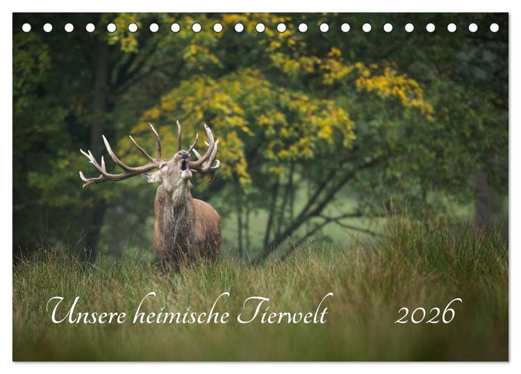 Produktbild: Unsere heimische Tierwelt (Tischkalender 2026 DIN A5 quer), CALVENDO Monatskalender