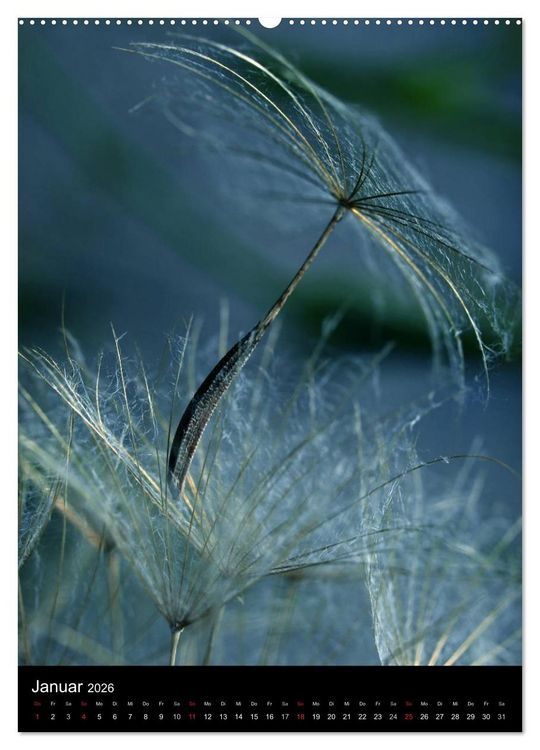 Produktbild: Kunst in der Natur (Wandkalender 2026 DIN A2 hoch), CALVENDO Monatskalender