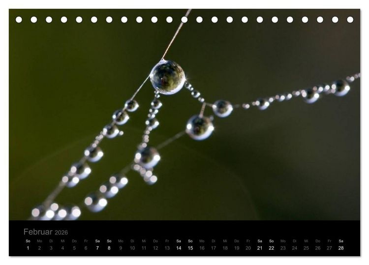 Produktbild: Natur im Detail (Tischkalender 2026 DIN A5 quer), CALVENDO Monatskalender