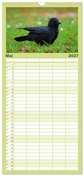 Produktbild: Familienplaner 2027 - Das Leben der Rabenv&ouml;gel mit 5 Spalten (Wandkalender, 21 x 45 cm) CALVENDO