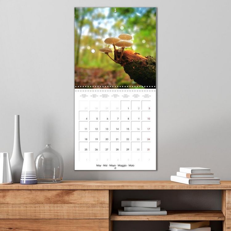 Produktbild: Blt, S: Esp&egrave;ces de Nouvelle Aquitaine (Calendrier mural carr