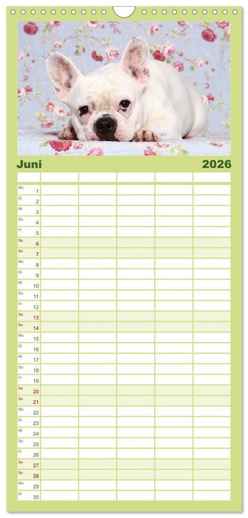 Produktbild: Familienplaner 2026 - Der Bully - Kalender Familienplaner hoch mit 5 Spalten (Wandkalender, 21 x 45 cm) CALVENDO