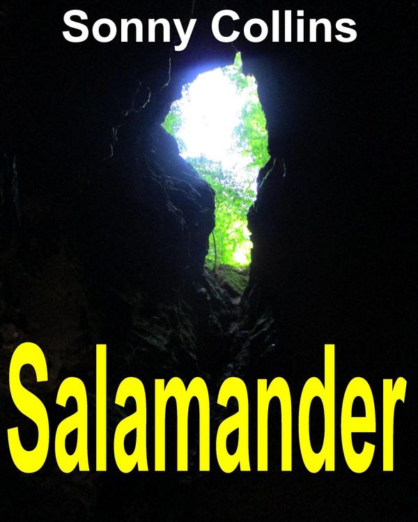 Produktbild: Salamander