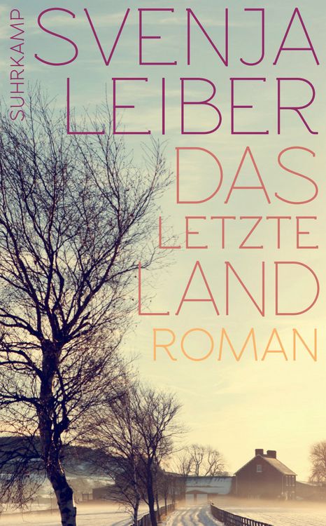 Produktbild: Das letzte Land