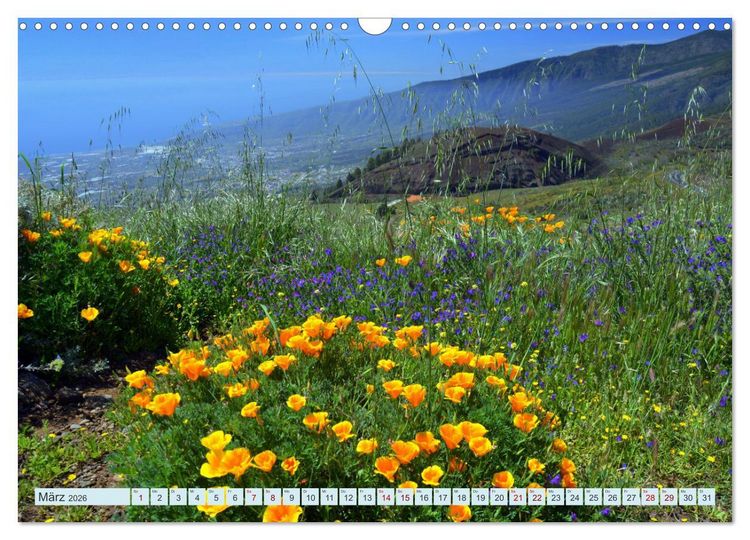 Produktbild: Teneriffa - Insel der Gl&uuml;ckseligen (Wandkalender 2026 DIN A3 quer), CALVENDO Monatskalender