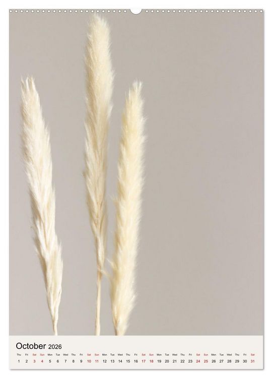 Produktbild: Dried Flowers (Wall Calendar 2026 DIN A2 portrait), CALVENDO 12 Month Wall Calendar