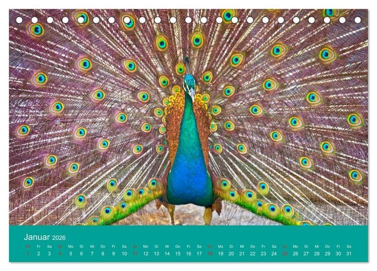 Produktbild: Wir sind die Stars am Bauernhof (Tischkalender 2026 DIN A5 quer), CALVENDO Monatskalender