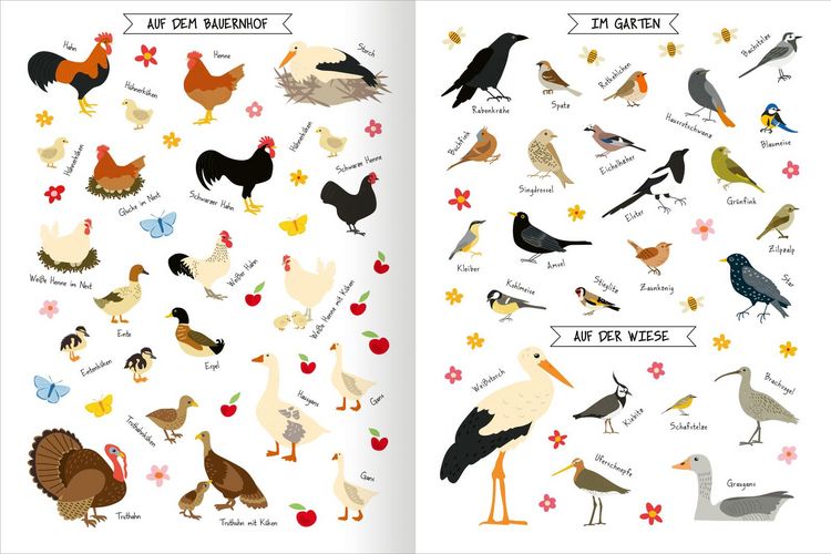 Produktbild: Naturforscher-Kids &ndash; Stickerheft V&ouml;gel