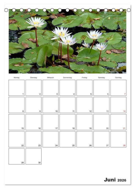 Produktbild: Venezuela - Land der Kontraste (Tischkalender 2026 DIN A5 hoch), CALVENDO Monatskalender