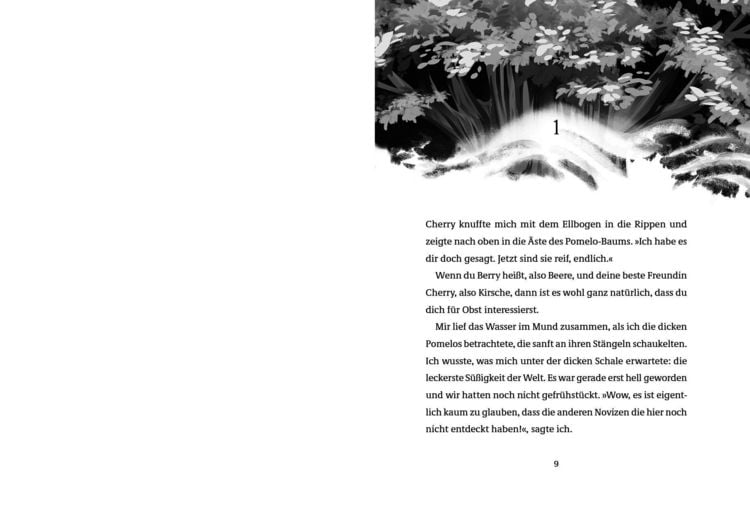 Produktbild: Die Insel der magischen W&auml;chter &ndash; Die Schattennebel