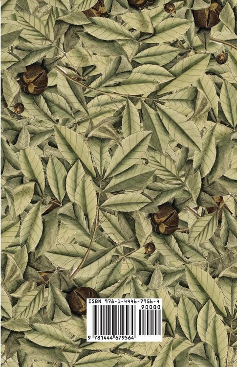 Produktbild: Locusts And Wild Honey