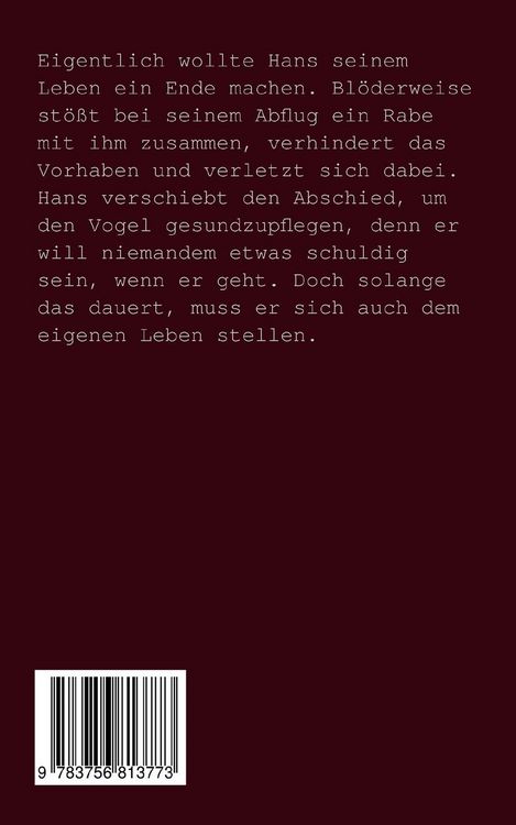 Produktbild: Fliegen lernen mit Rabe