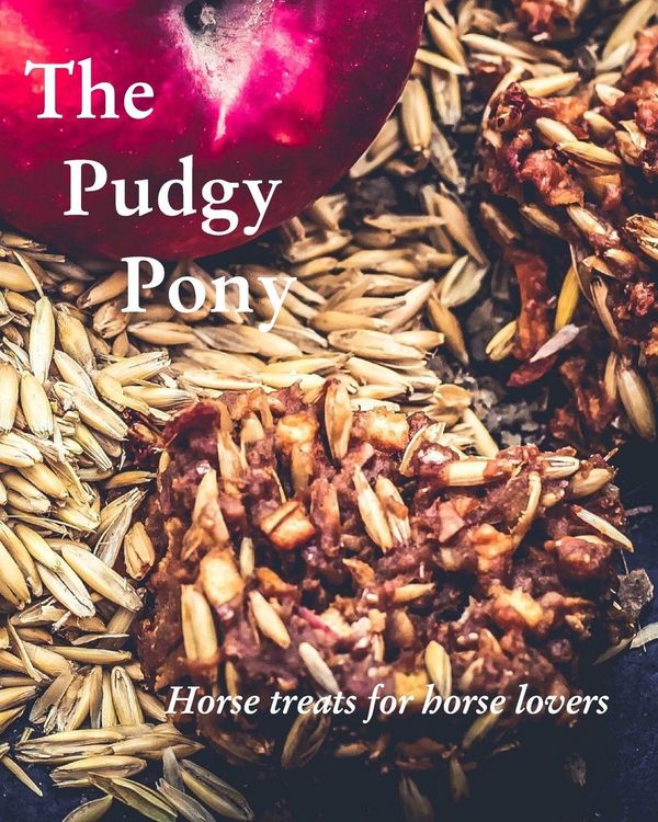 Produktbild: The Pudgy Pony