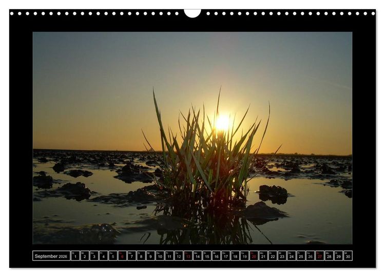 Produktbild: Licht &uuml;ber Dithmarschen (Wandkalender 2026 DIN A3 quer), CALVENDO Monatskalender