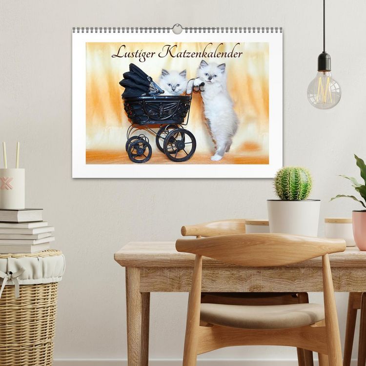 Produktbild: Lustiger Katzenkalender (Wandkalender 2026 DIN A3 quer), CALVENDO Monatskalender