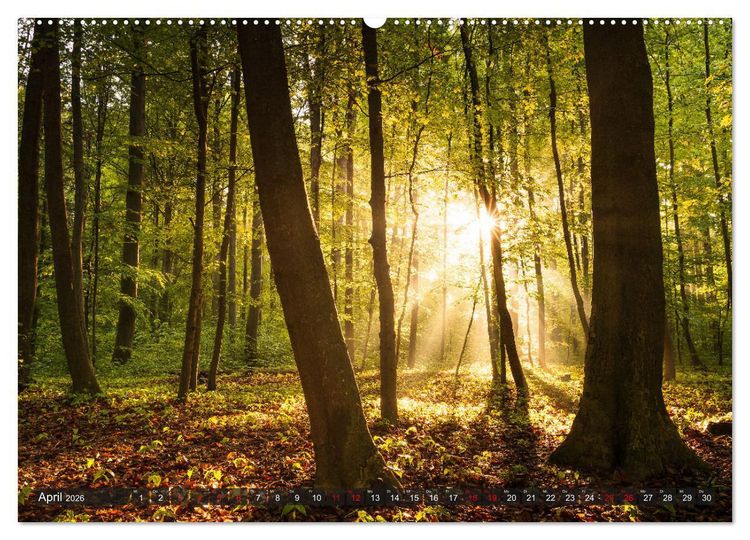 Produktbild: Augsburg - Stadt und Land (hochwertiger Premium Wandkalender 2026 DIN A2 quer), Kunstdruck in Hochglanz