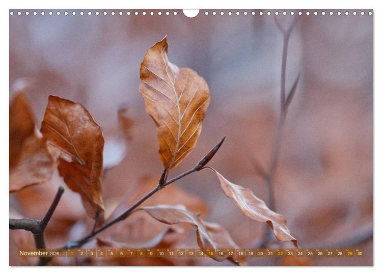 Produktbild: Die Poesie der Pflanzenwelt - Im Wandel der Jahreszeiten (Wandkalender 2026 DIN A3 quer), CALVENDO Monatskalender