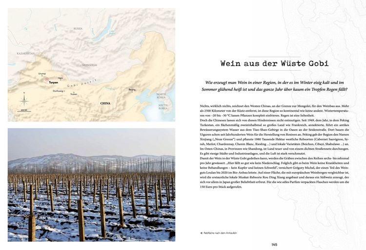 Produktbild: Atlas der au&szlig;ergew&ouml;hnlichen Weine