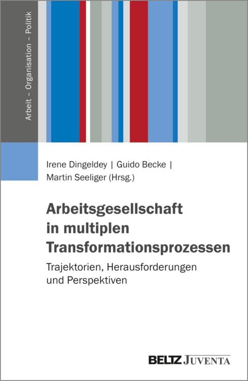 Produktbild: Arbeitsgesellschaft in multiplen Transformationsprozessen