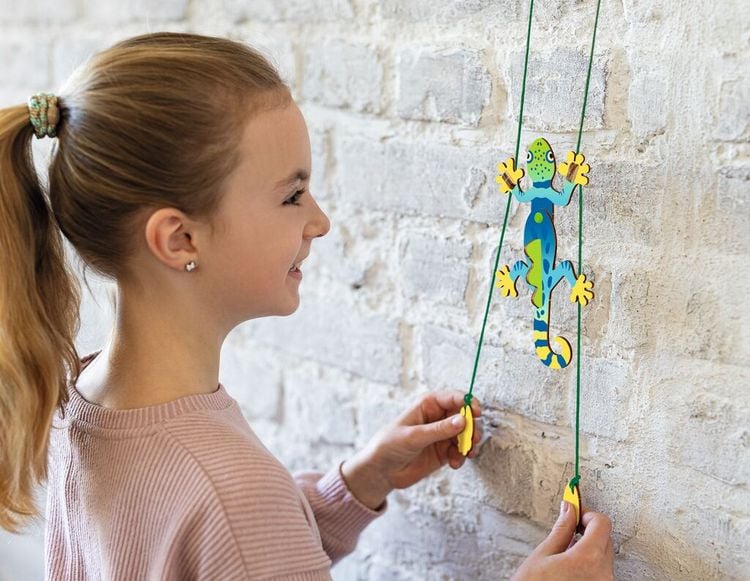 Produktbild: PhänoMINT Klettergecko