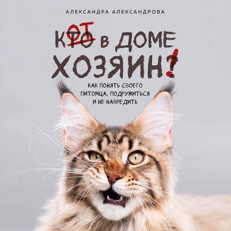 Produktbild: Kot v dome hozyain! Kak ponyat svoego pitomtsa, podruzhitsya i ne navredit