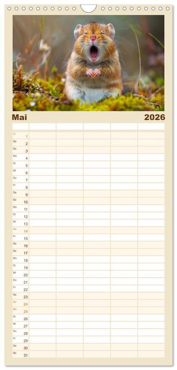 Produktbild: Familienplaner 2026 - Ansteckend m&uuml;de! mit 5 Spalten (Wandkalender, 21 x 45 cm) CALVENDO