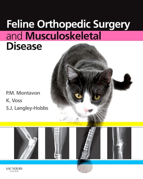 Produktbild: Feline Orthopedic Surgery and Musculoskeletal Disease