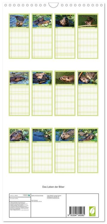 Produktbild: Familienplaner 2027 - Das Leben der Biber mit 5 Spalten (Wandkalender, 21 x 45 cm) CALVENDO