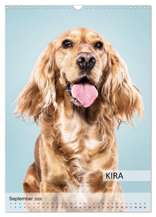 Produktbild: Hundekalender - Hunderassen im Portrait (Wandkalender 2026 DIN A3 hoch), CALVENDO Monatskalender