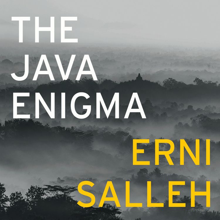 Produktbild: The Java Enigma