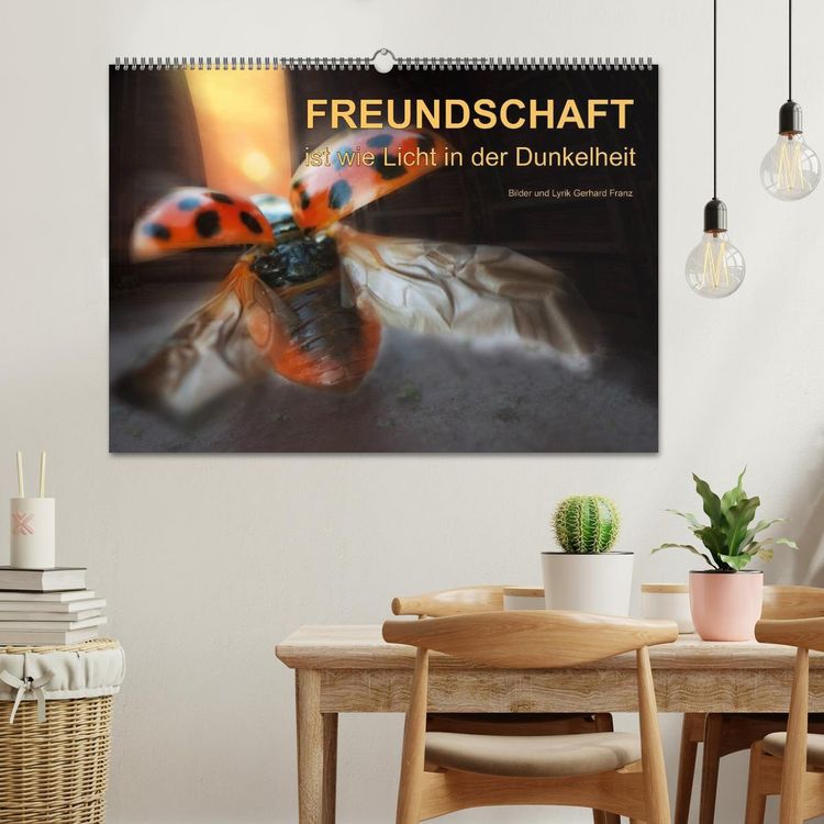 Produktbild: Freundschaft (Wandkalender 2026 DIN A2 quer), CALVENDO Monatskalender