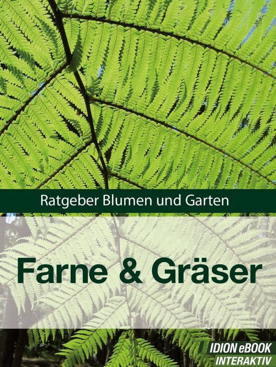 Produktbild: Farne & Gr&auml;ser