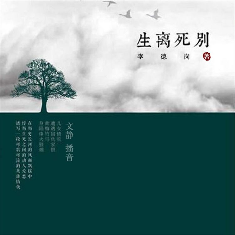 Produktbild: 生离死别
