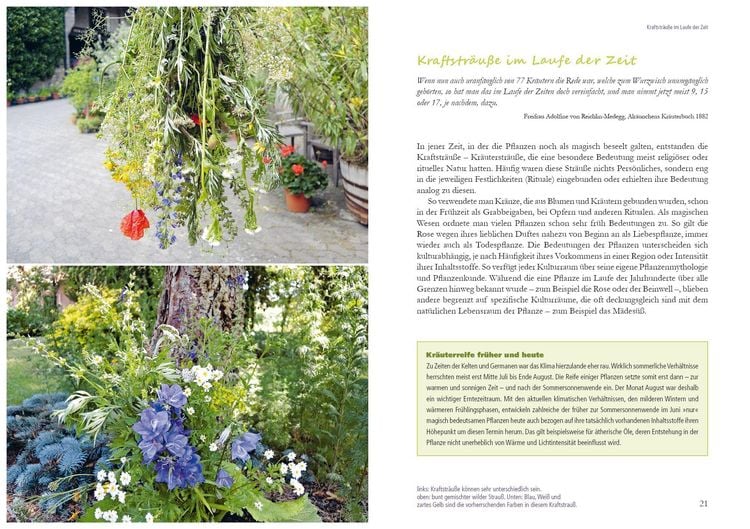 Produktbild: Kraftstr&auml;u&szlig;e
