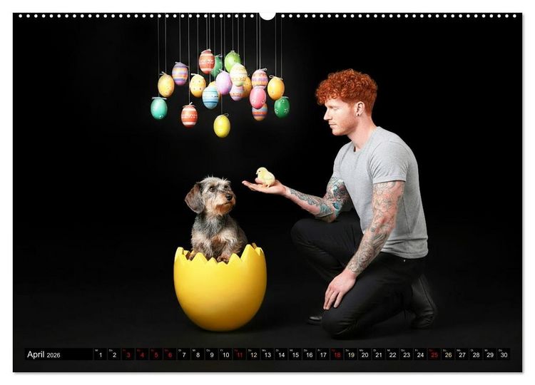 Produktbild: Coole Typen - Rauhaardackel (hochwertiger Premium Wandkalender 2026 DIN A2 quer), Kunstdruck in Hochglanz