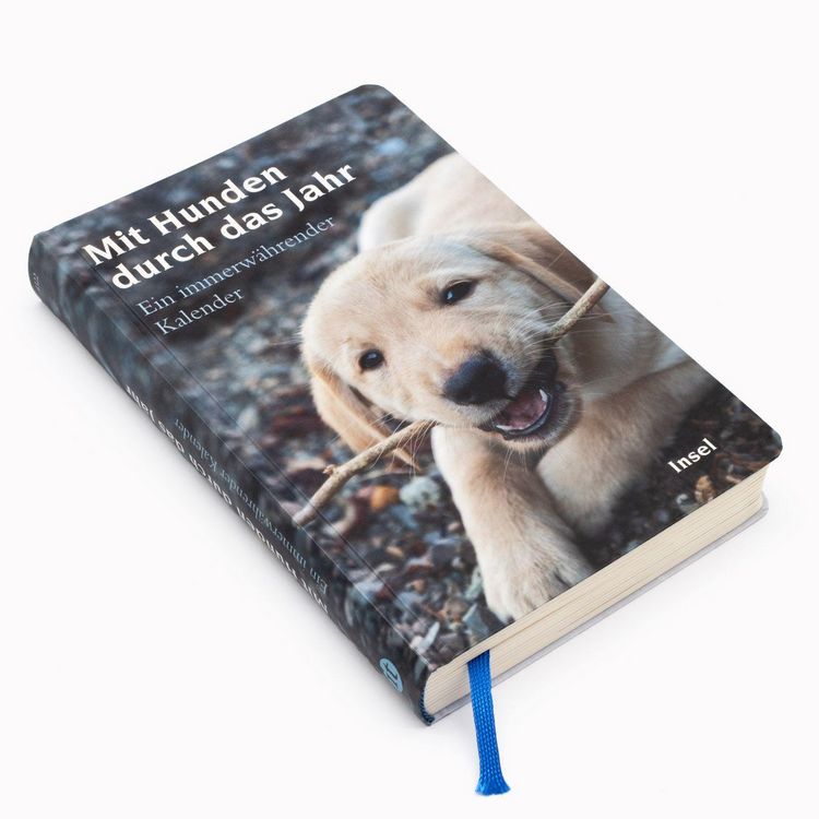 Produktbild: Mit Hunden durch das Jahr