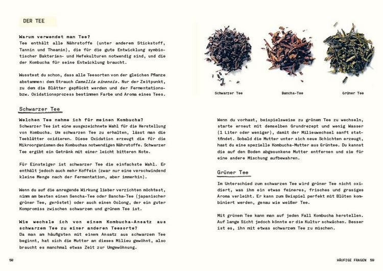 Produktbild: Kombucha do it yourself