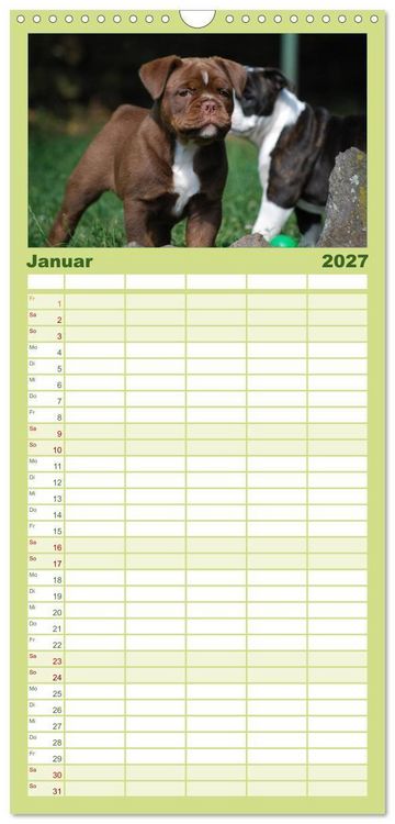 Produktbild: Familienplaner 2027 - Bulldoggen-Kinder mit 5 Spalten (Wandkalender, 21 x 45 cm) CALVENDO