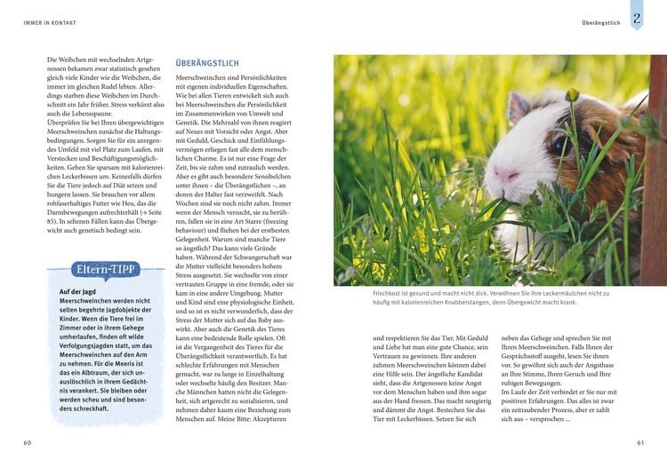 Produktbild: Neugierige Meerschweinchen